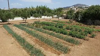 Glyfada Hotel apartamentowy 3*